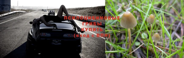стаф Михайловка