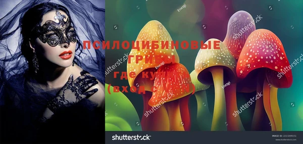 стаф Михайловка