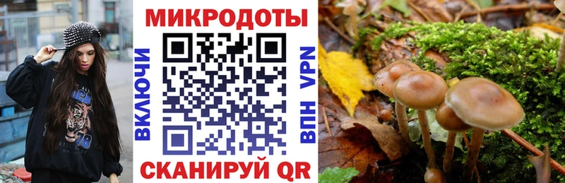 Галлюциногенные грибы Psilocybine cubensis  Соликамск 