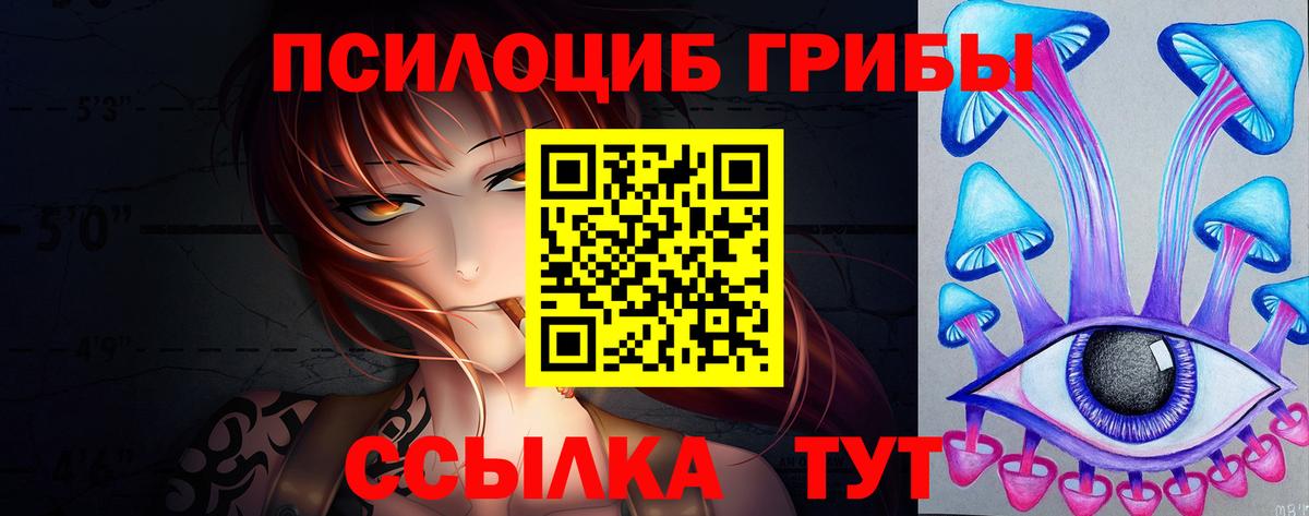 Галлюциногенные грибы Psilocybe Соликамск